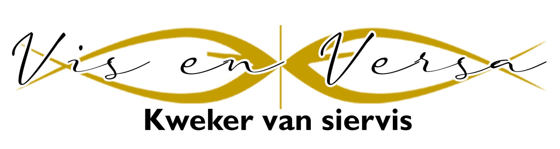 visenversa logo
